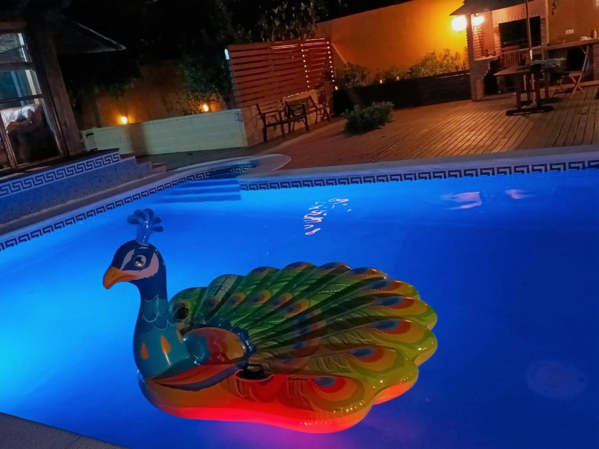 Villa Du Lac Speciale Pour Famille Avec Enfant Riudecanyes Exteriör bild